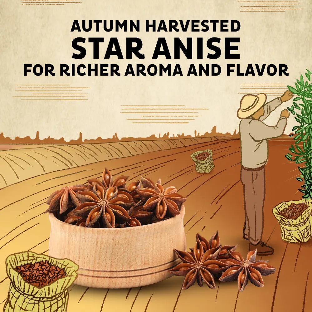 ORIKA Star Anise (Chakra Phool) | 25g