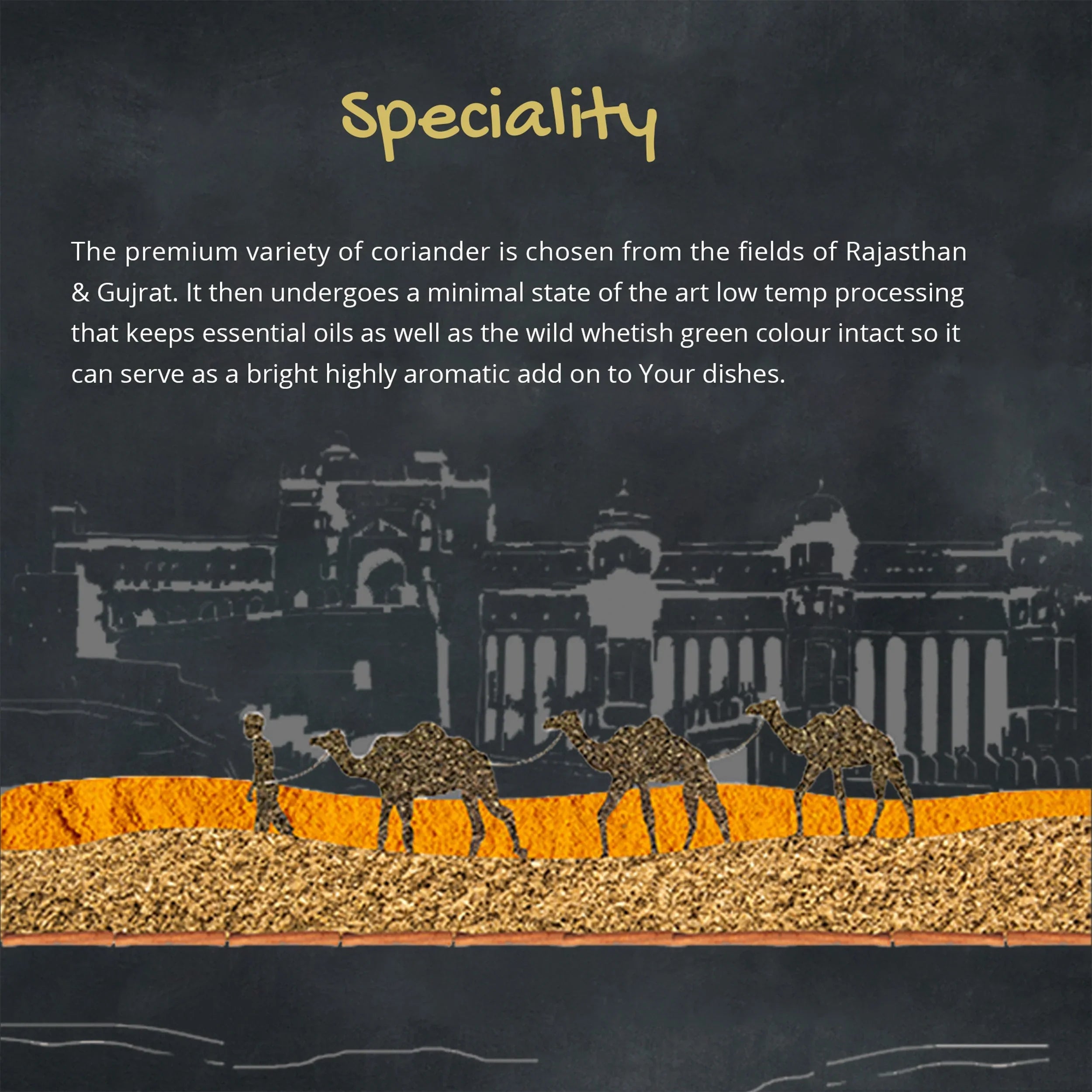 Orika Indian Essential Combo (Sambhar Masala 100g + Coriander Powder 100g + Amchoor Powder 100g) ( Pack of 3) - Orika Spices India