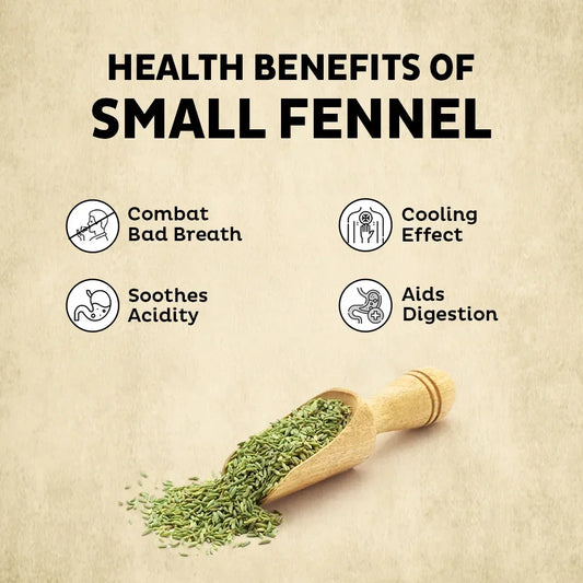 Orika Lucknowi Barik Saunf | Premium Fine Fennel Seeds for Mukhwas, Digestive, Cooking & Mouth Freshener | Aromatic & Flavourful – 100g Jar - Orika Spices India