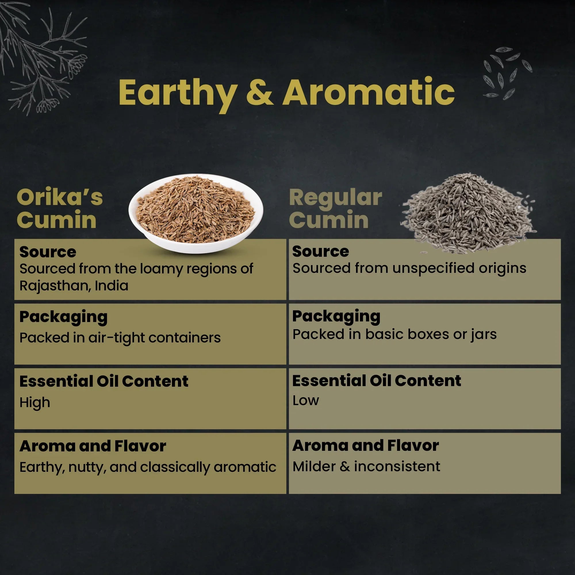 Orika Nagauri Bold Cumin Whole Combo, Pack of 2, 250gm/each - Orika Spices India