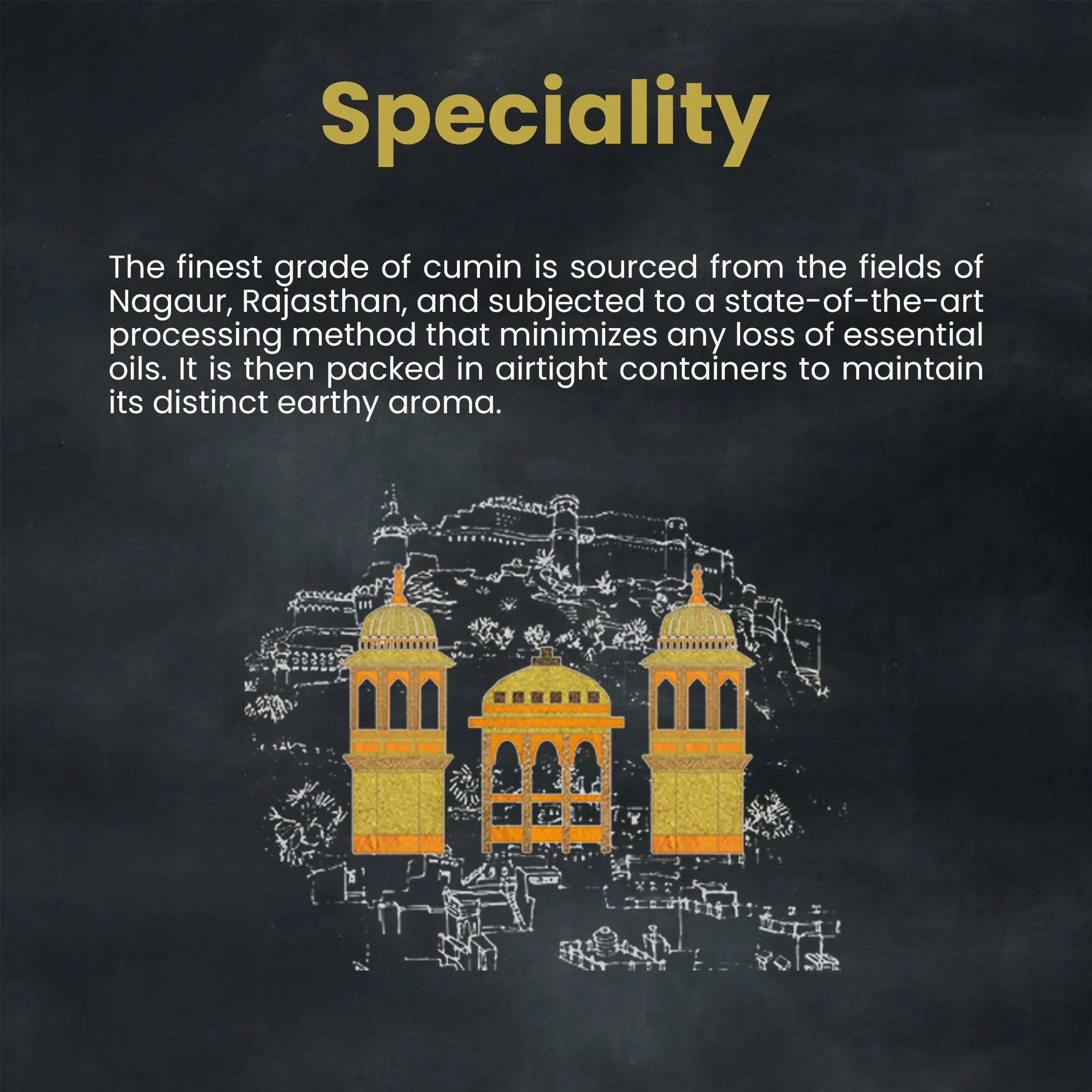 Orika Sabut Masala Combo, Pack of 3, 100g/each - Orika Spices India