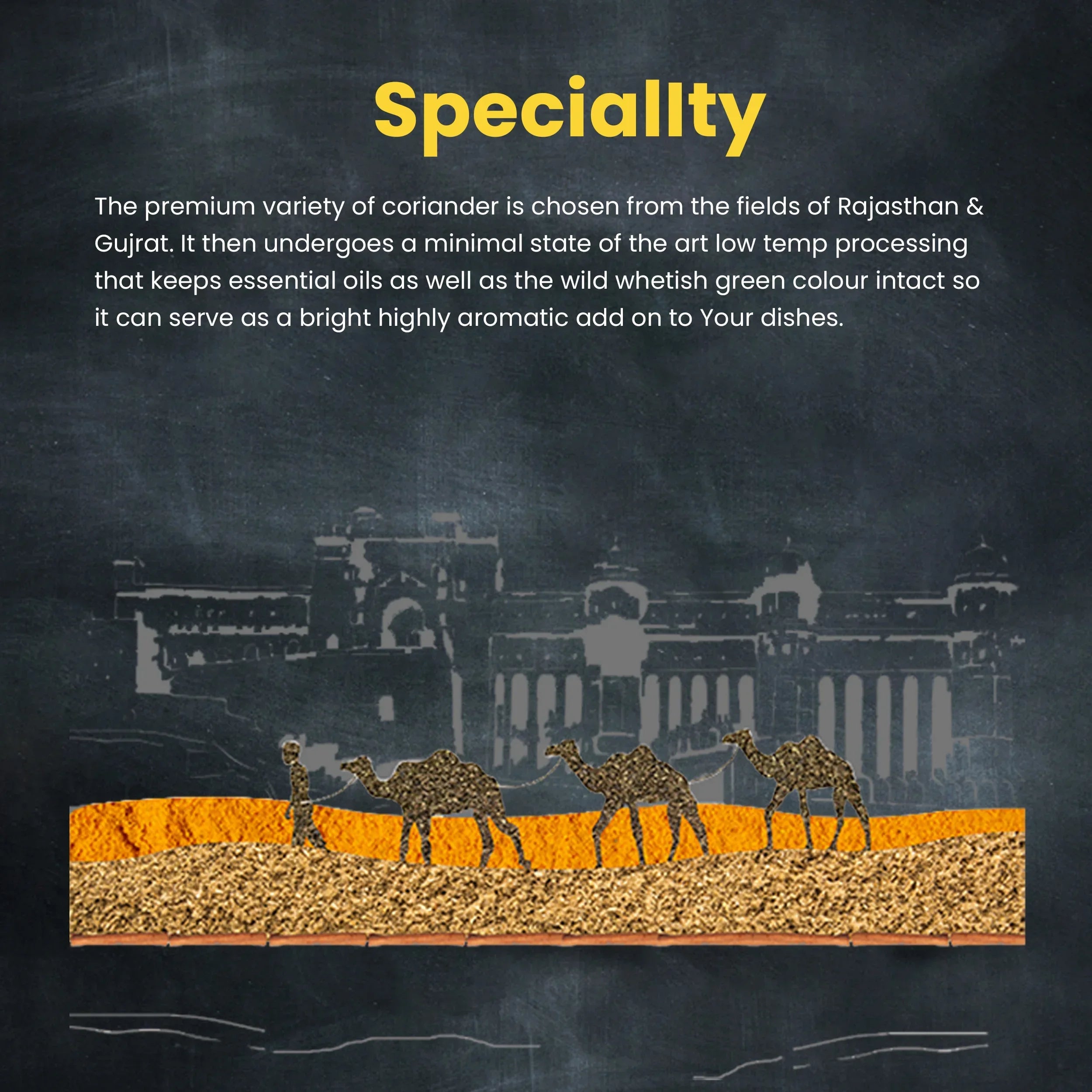 Orika Sabut Masala Combo, Pack of 3, 100g/each - Orika Spices India